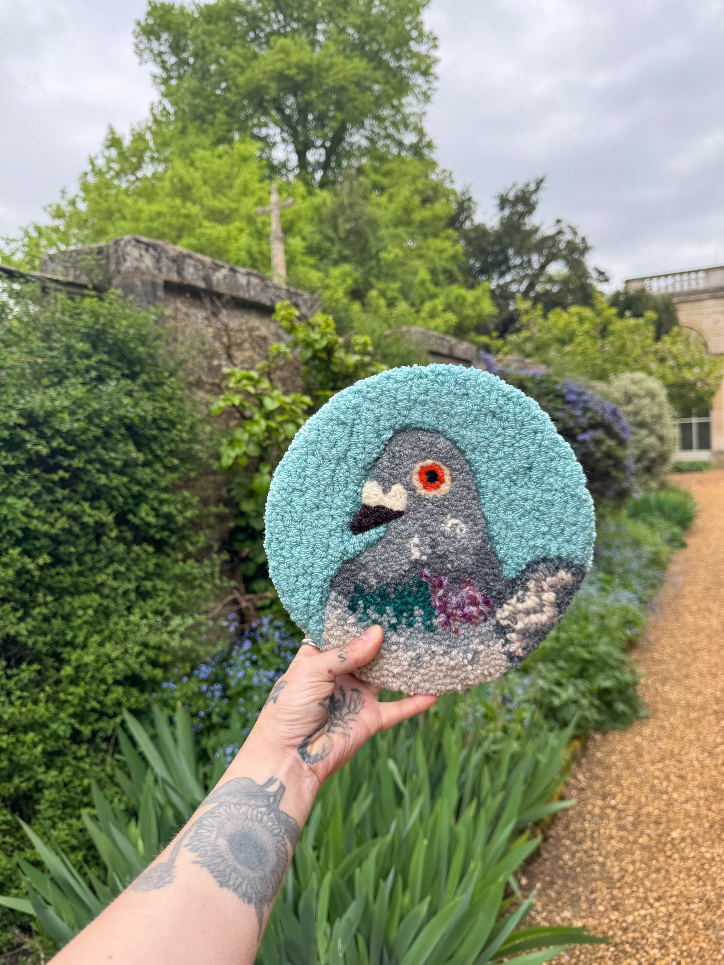teal blue pidgey