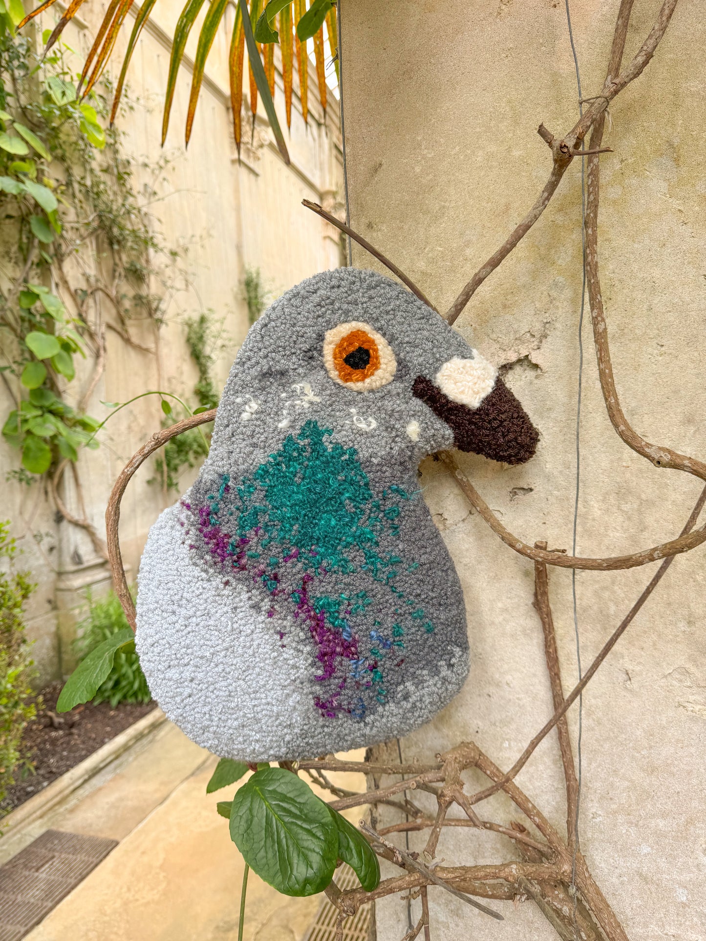 Large pigeon portrait