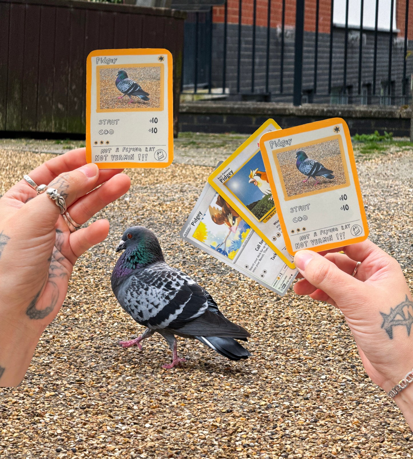 Pidgey sticker