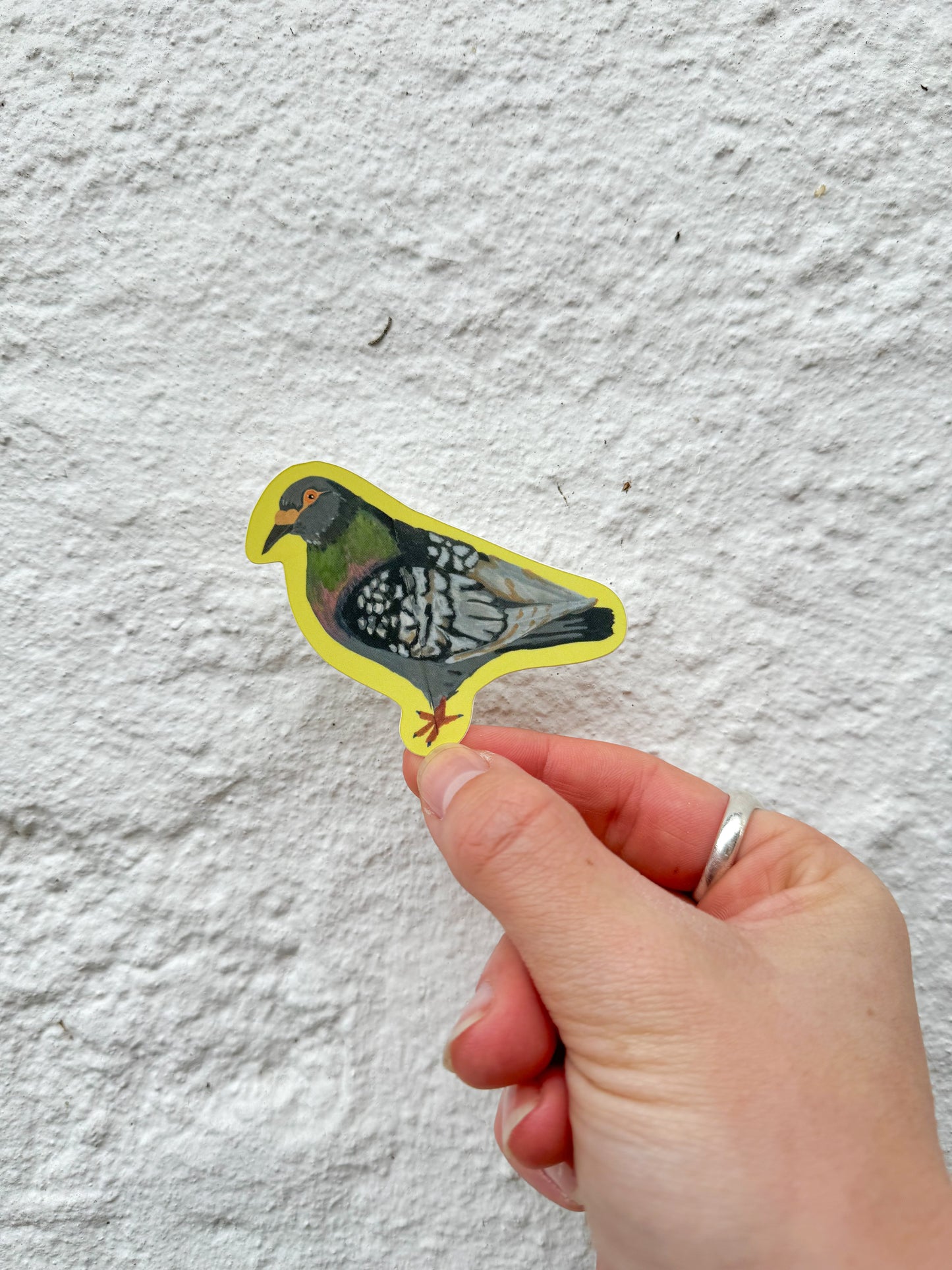 Painted pigeon sticker