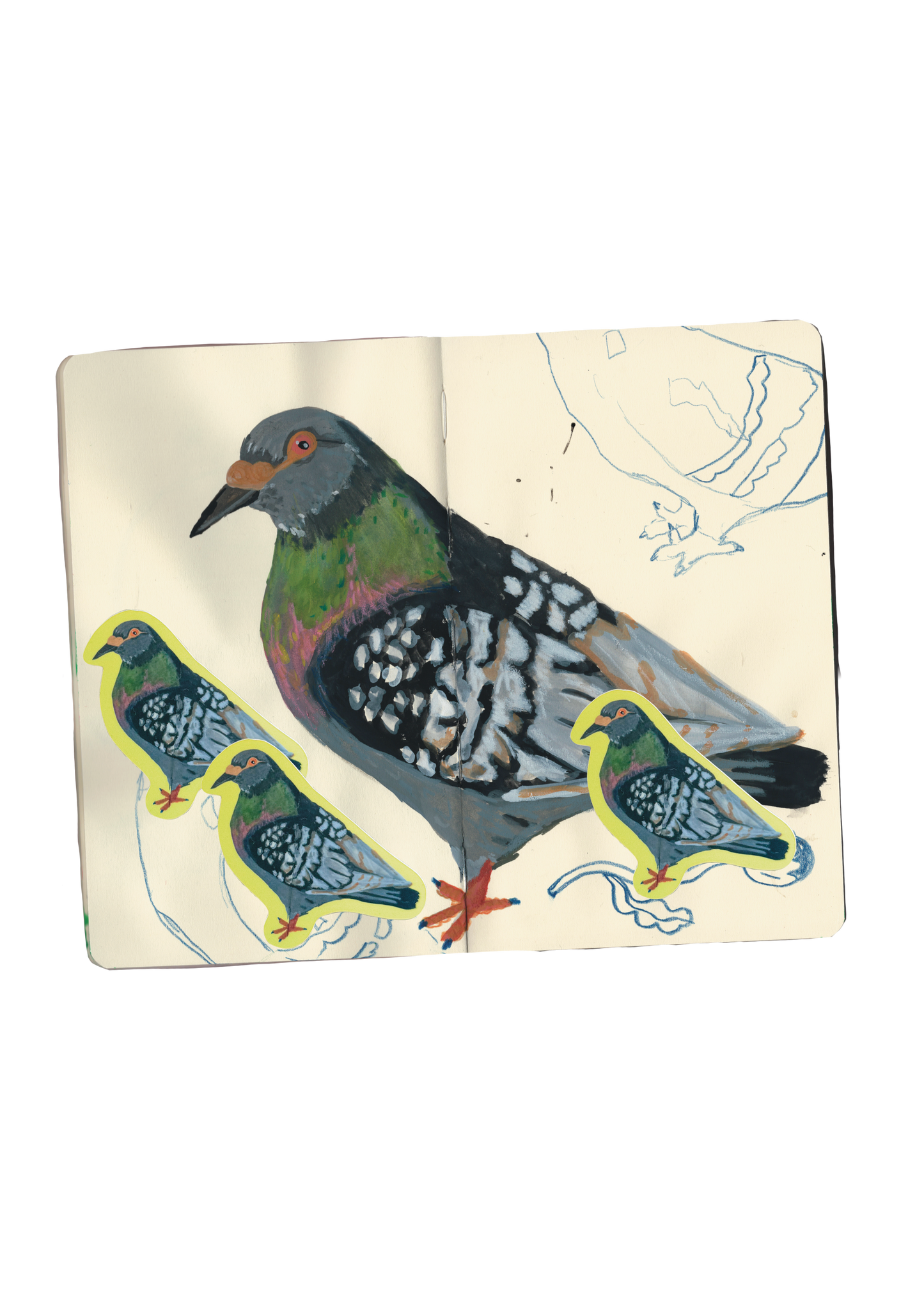 Painted pigeon sticker