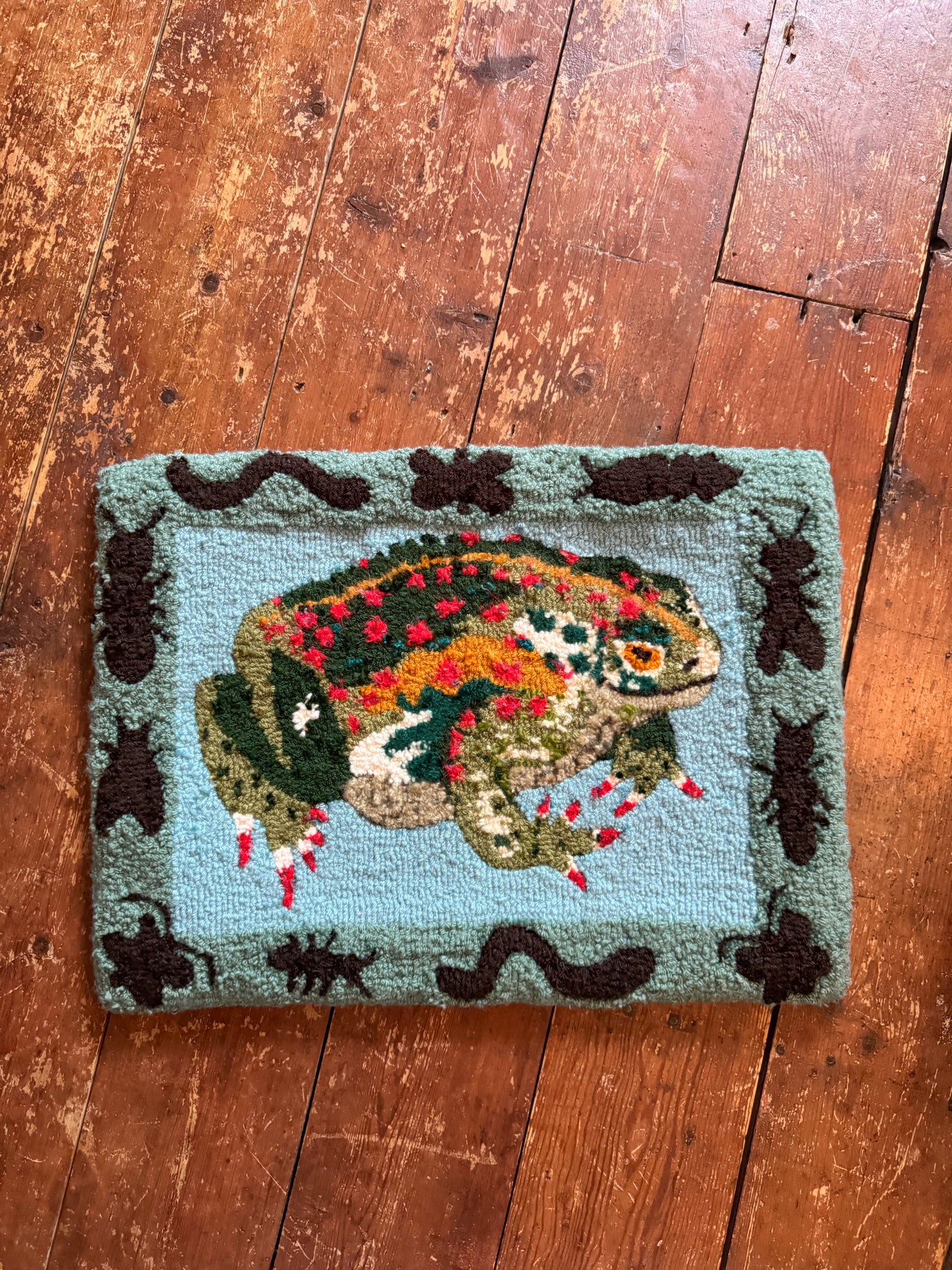 Large Toad with bugs