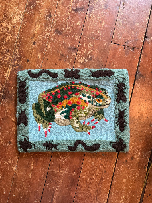 Large Toad with bugs