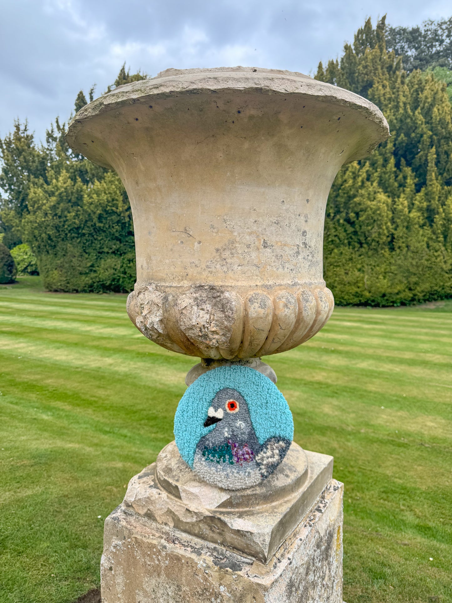 teal blue pidgey