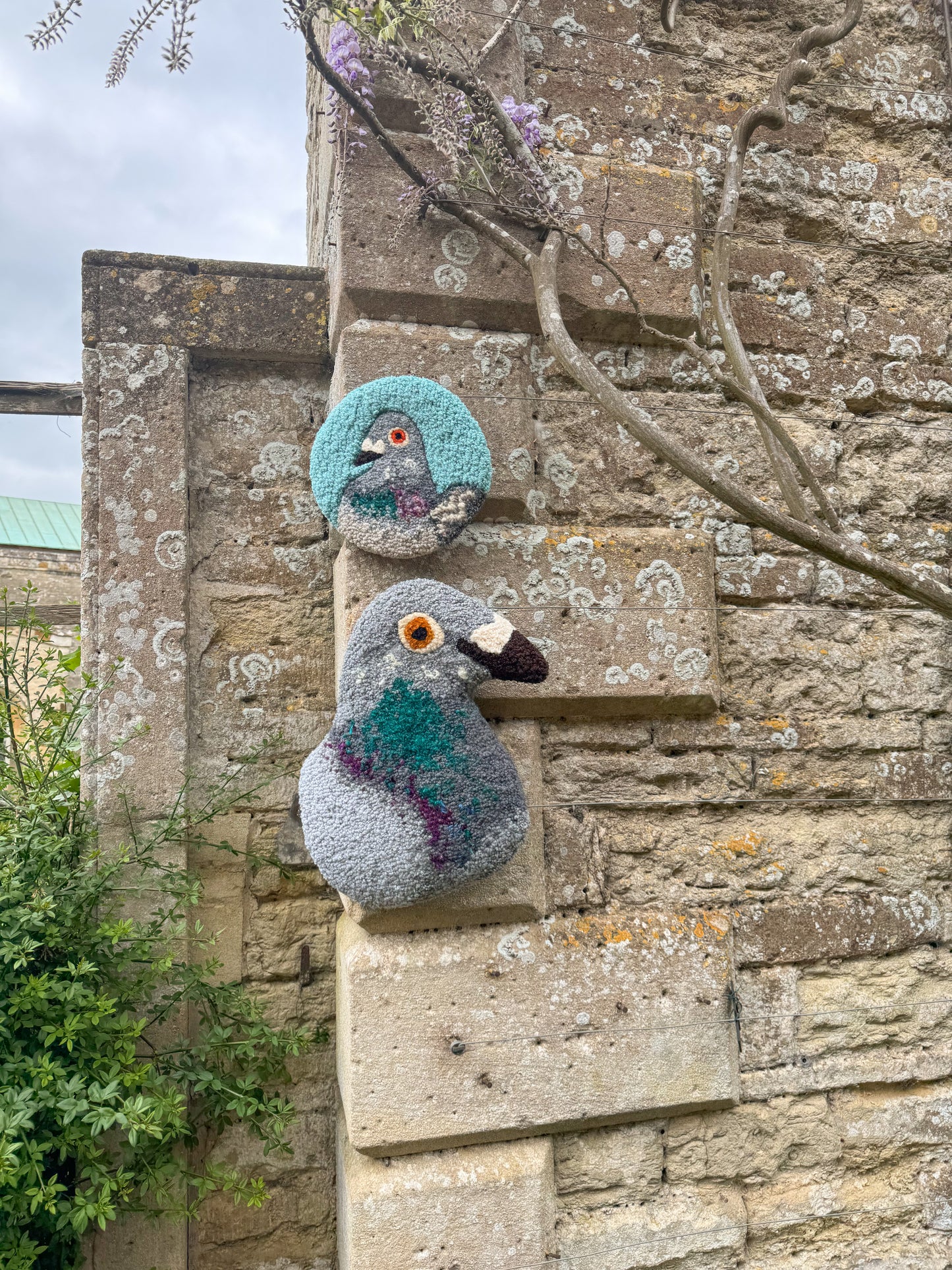Large pigeon portrait