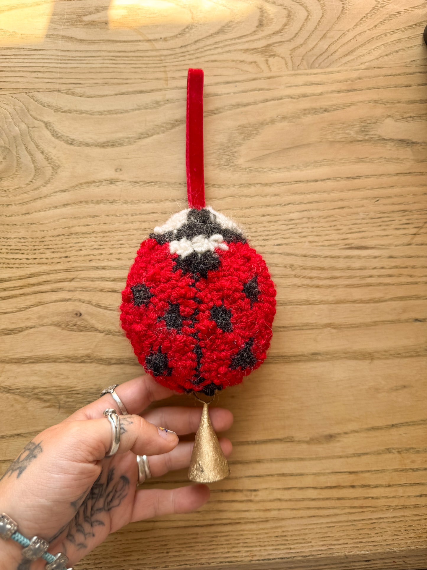 ladybug lucky charm #2