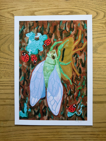Metamorphosis