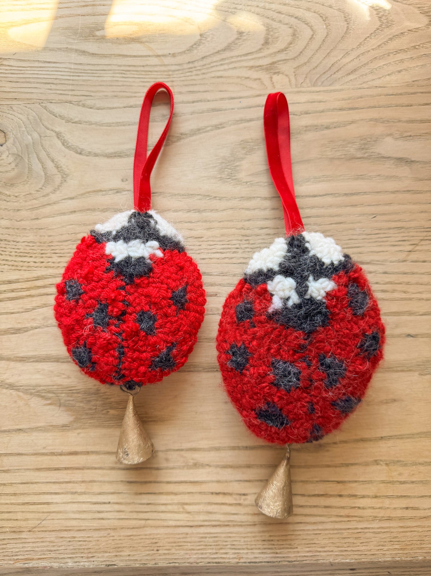 ladybug lucky charm #2