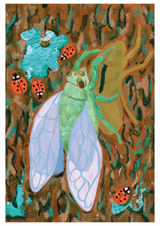 Metamorphosis