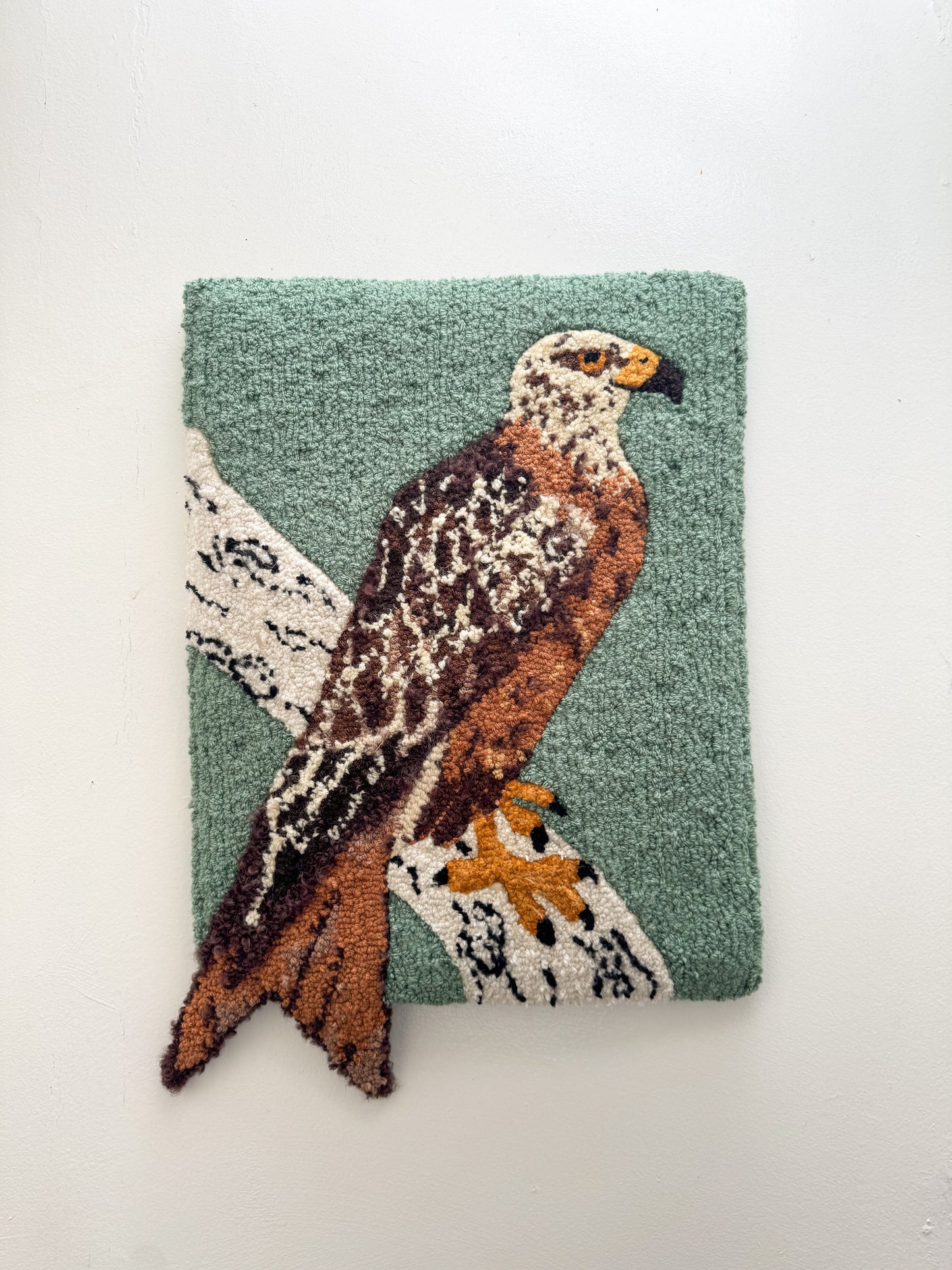 Red Kite