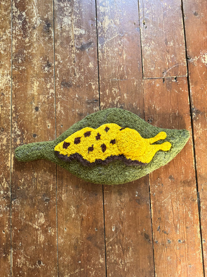 Big fun slug
