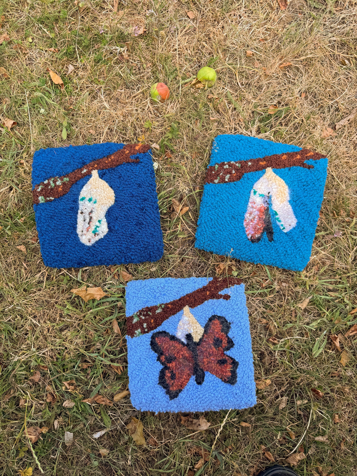 Metamorphosis panels