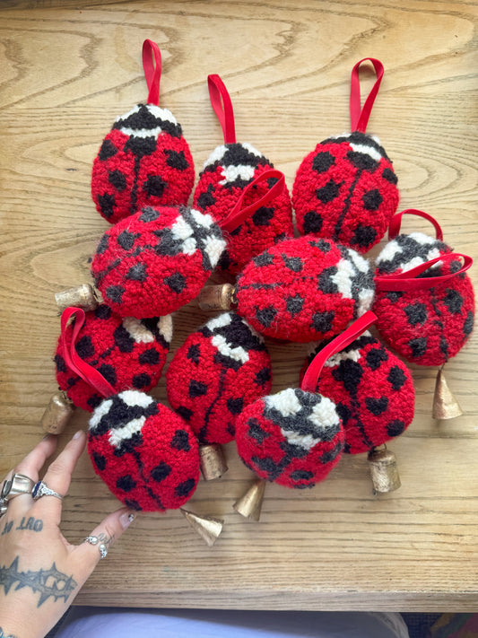 ladybug charms