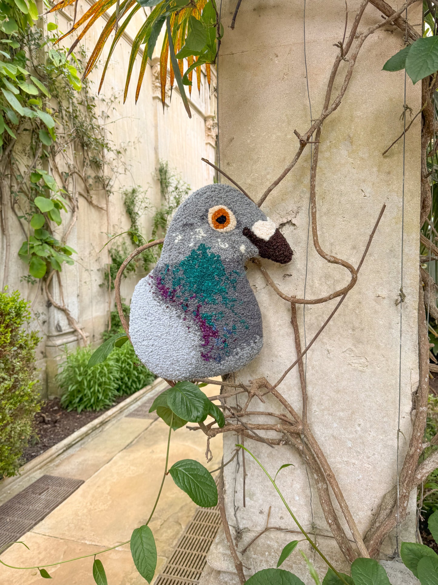 Large pigeon portrait