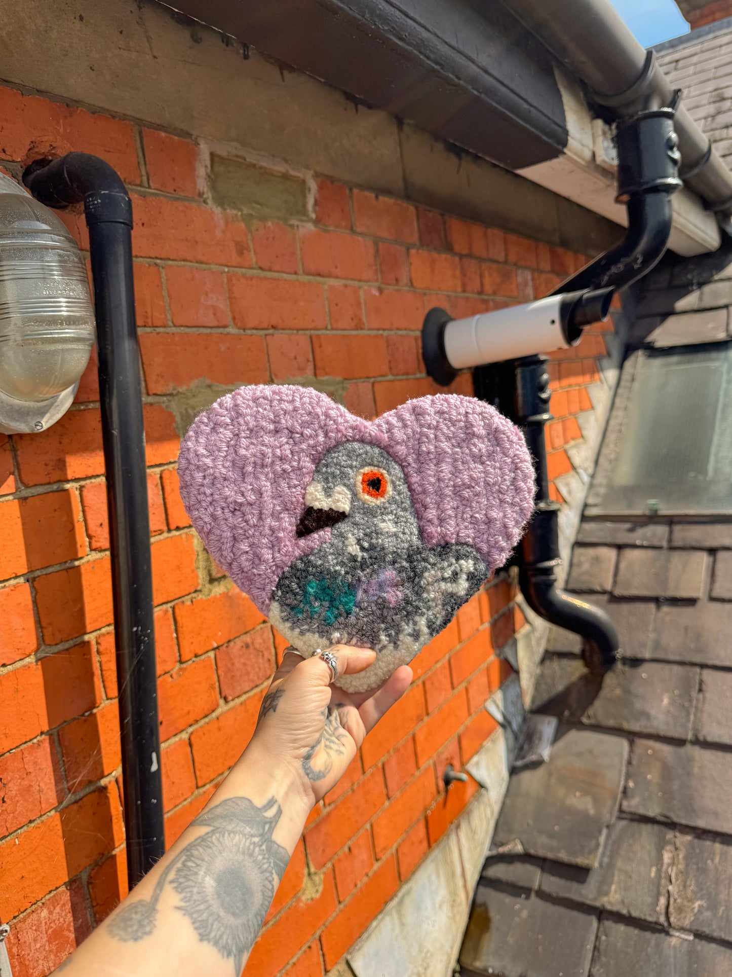 Lilac pigeon