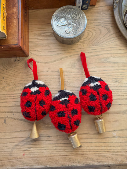 lucky ladybug charms