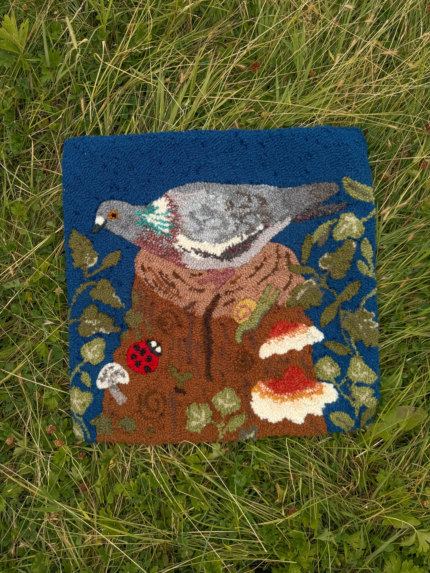 Wood pigeon