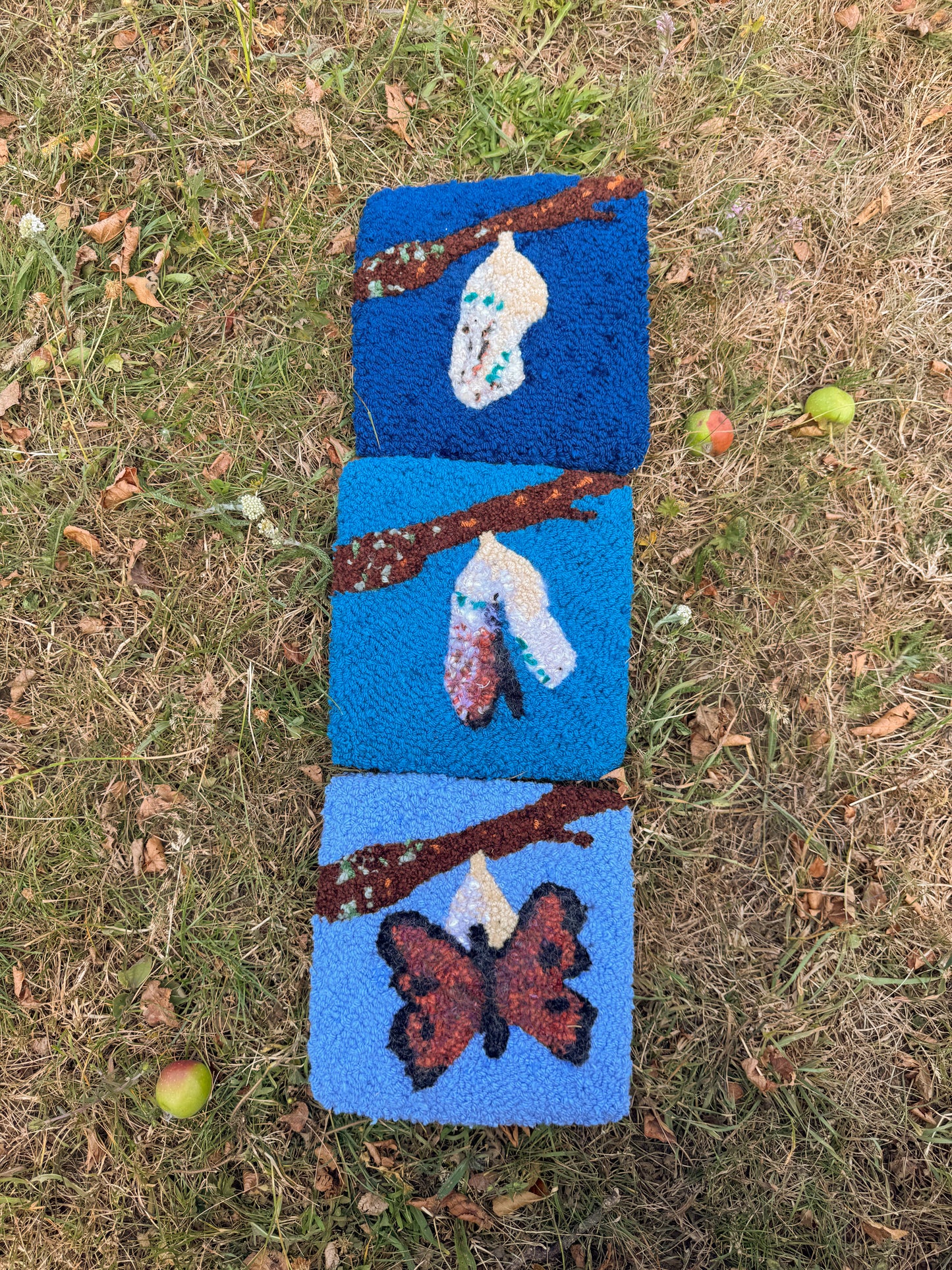 Metamorphosis panels