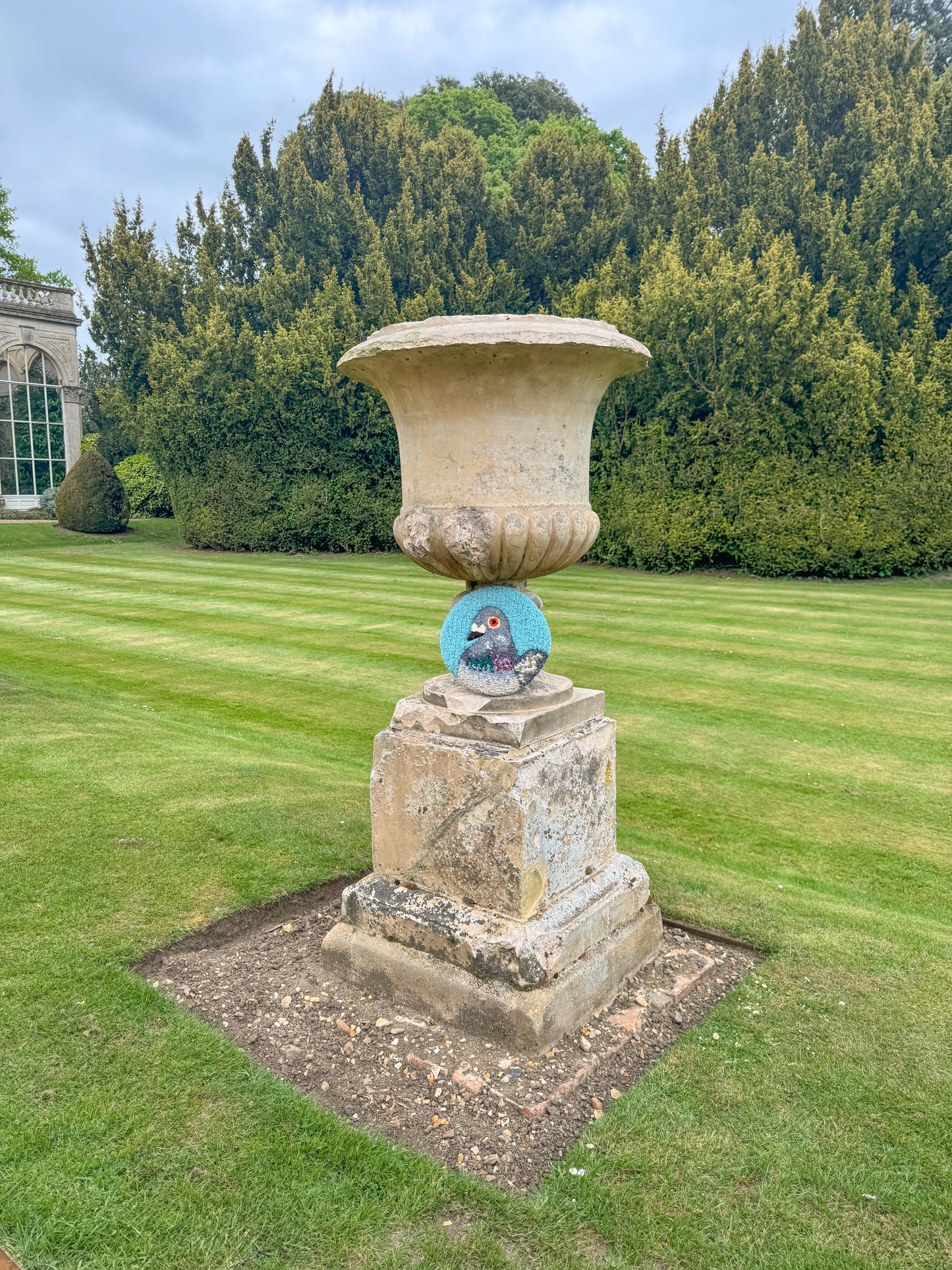 teal blue pidgey