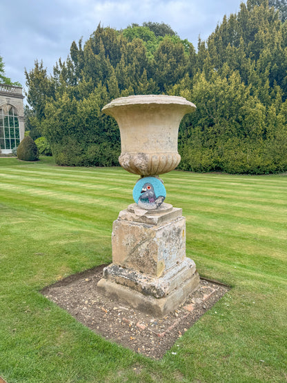 teal blue pidgey