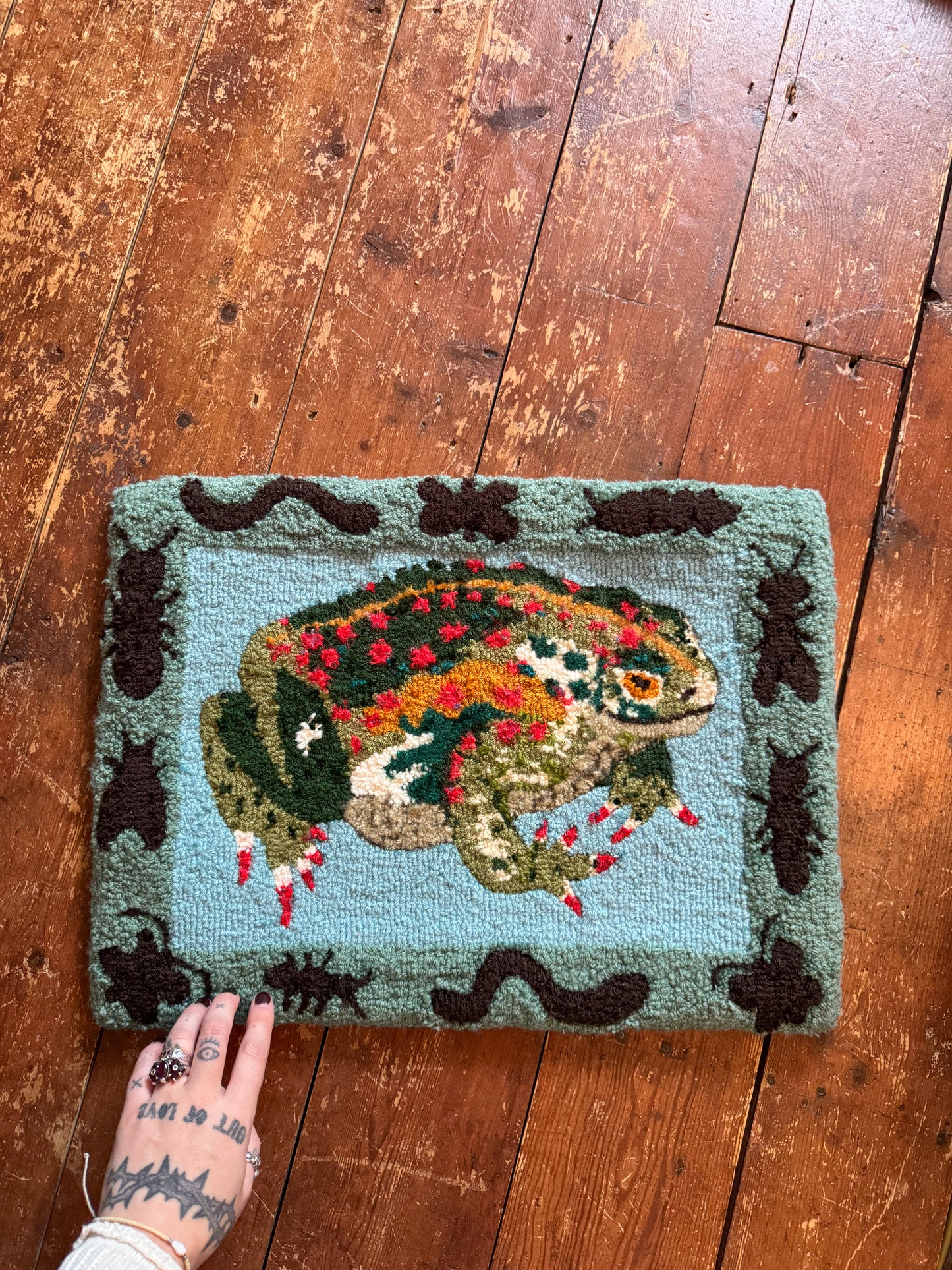 Large Toad with bugs