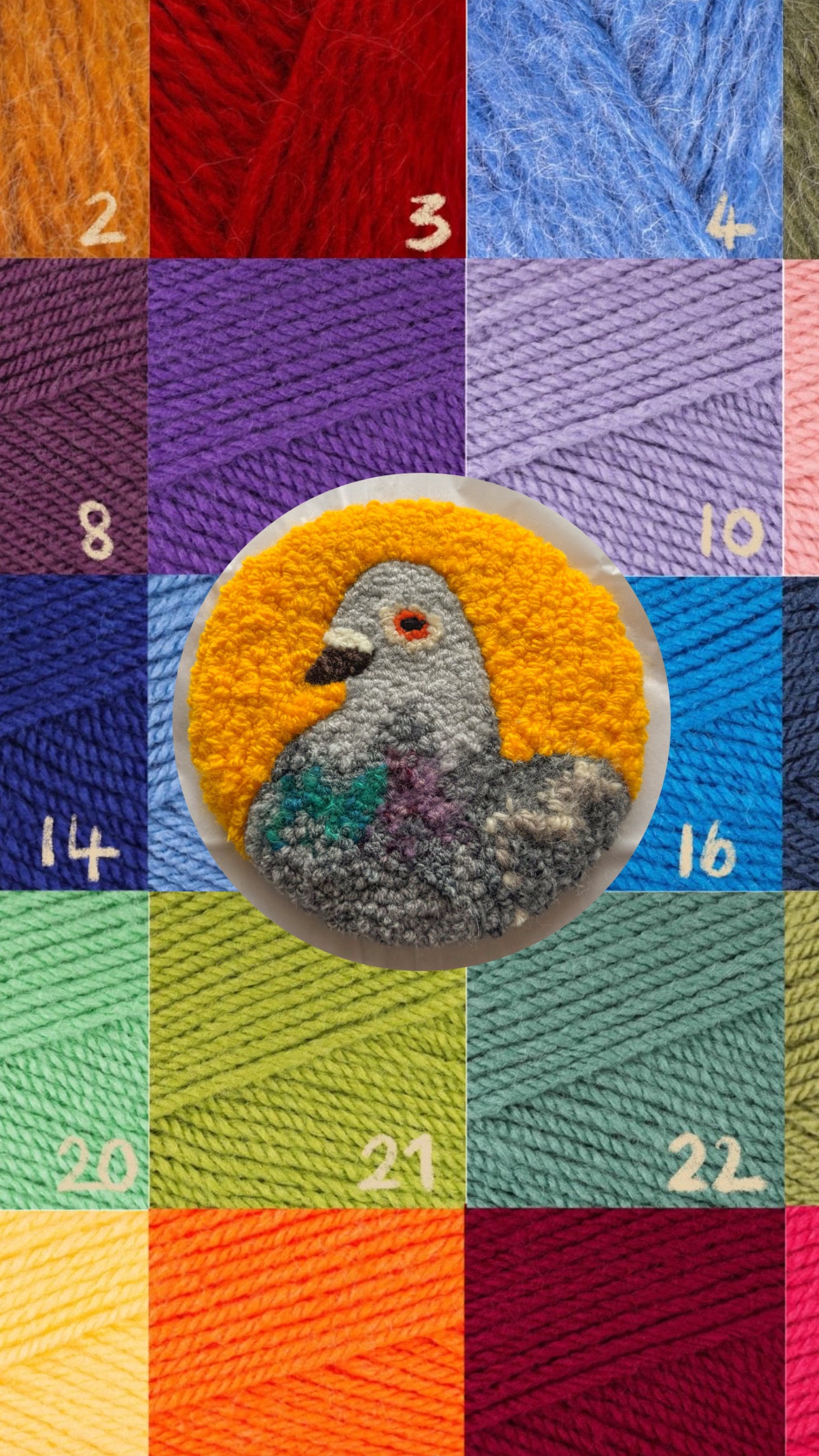 Custom pigeon portrait (circle)